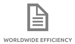WORLDWIDE EFFICIENCY